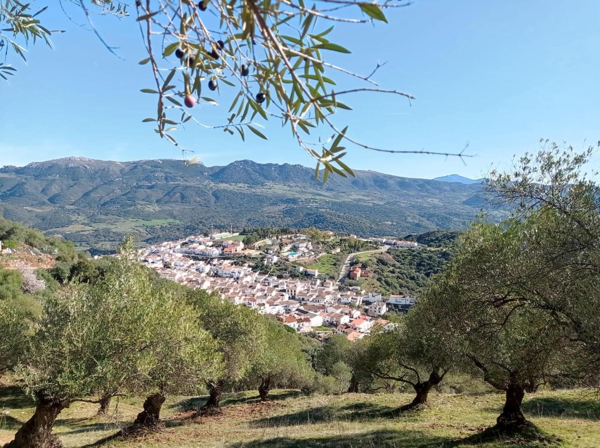 Apartamento Valle Del Guadiaro Cortes de la Frontera Exterior foto